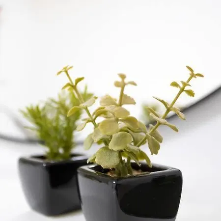 Vakantiehuis Loft 55 Domu De Tuni Ancona