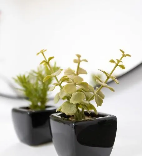 Casa vacanze Loft 55 Domu De Tunì Ancona